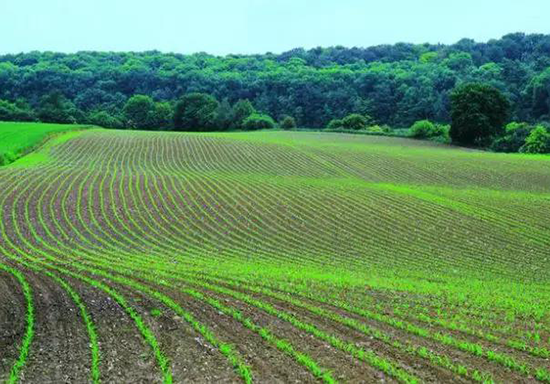 農業暗黑吃瓜网爆料 農業暗黑吃瓜网爆料