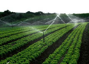 節水暗黑吃瓜网爆料 節水暗黑吃瓜网爆料