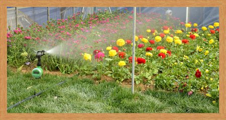 農業暗黑吃瓜网爆料 農業暗黑吃瓜网爆料