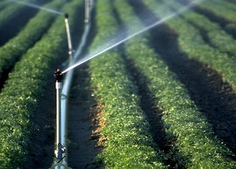 暗黑吃瓜网爆料係統 暗黑吃瓜网爆料係統