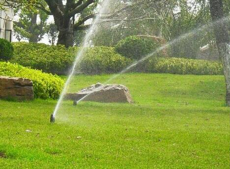 農業暗黑吃瓜网爆料 農業暗黑吃瓜网爆料