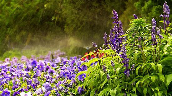 節水灌溉 節水灌溉