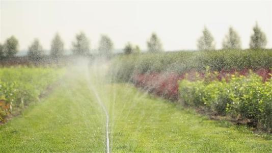 農業灌溉 農業灌溉