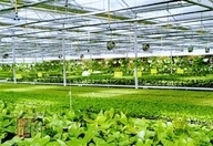 暗黑吃瓜网爆料 暗黑吃瓜网爆料