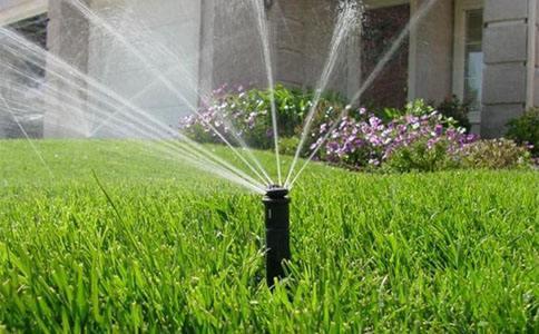 節水暗黑吃瓜网爆料 節水暗黑吃瓜网爆料