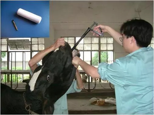 1556086137152676.jpg 5.webp.jpg