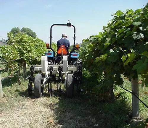 1556086194700514.jpg 9.webp.jpg