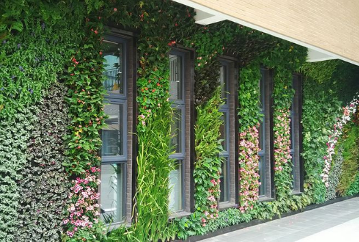 1597885813295475.png QQ截圖20200820090847.png