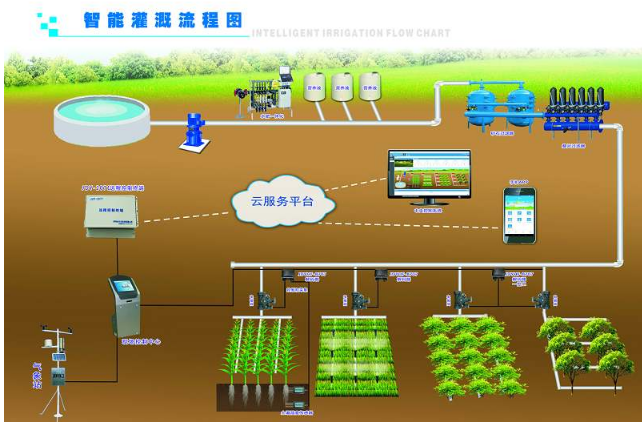 1597971931357888.png QQ截圖20200821090117.png