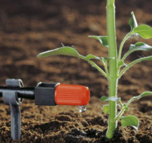 農業暗黑吃瓜网爆料 農業暗黑吃瓜网爆料